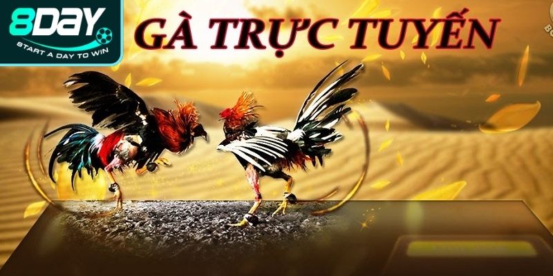 Giới thiệu đá gà trực tuyến